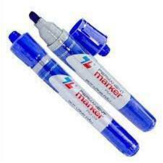 ComBo 10 cây Bút Lông Dầu PM09 Chính Hãng