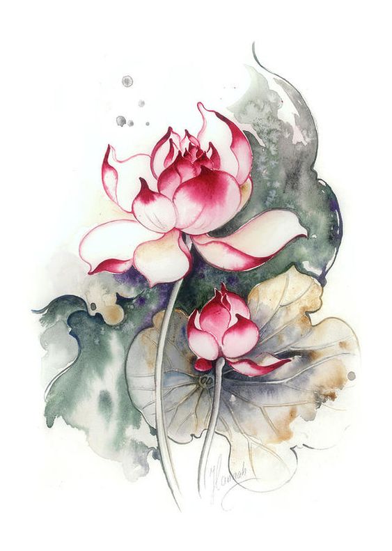 Tranh hoa sen mẫu 2 kèm khung