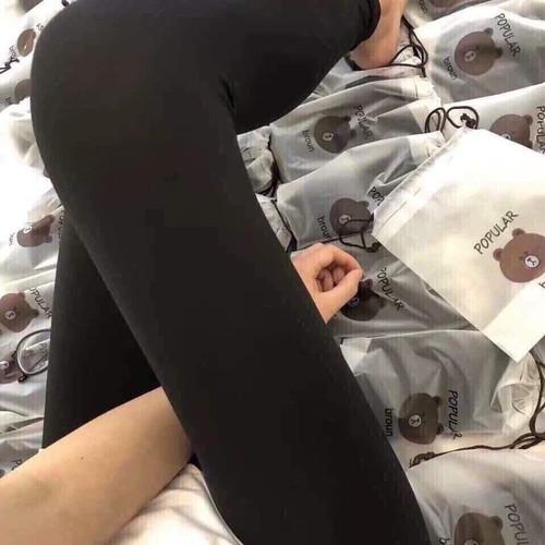 Quần legging thun lạnh gấu Brown siêu co giãn 4 chiều