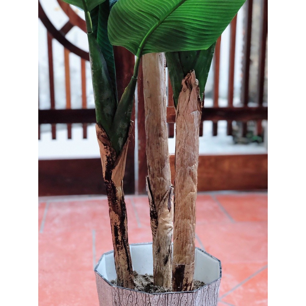 Cây Giả Cây Chuối Quê Giả Cao 1,6M