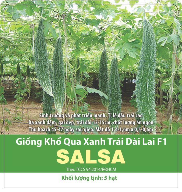 Hạt Giống Khổ Qua Trái Dài Salsa (5 Hạt)