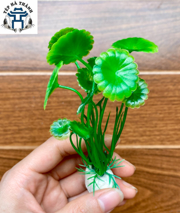 Cây Nhựa Trang Trí Bể Cá Cảnh