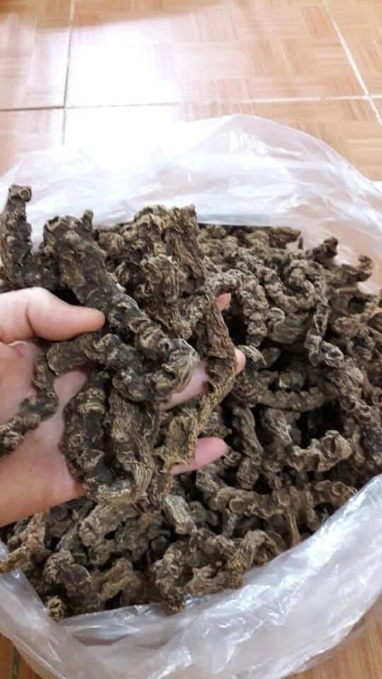 Tam Thất Hoang 100gr