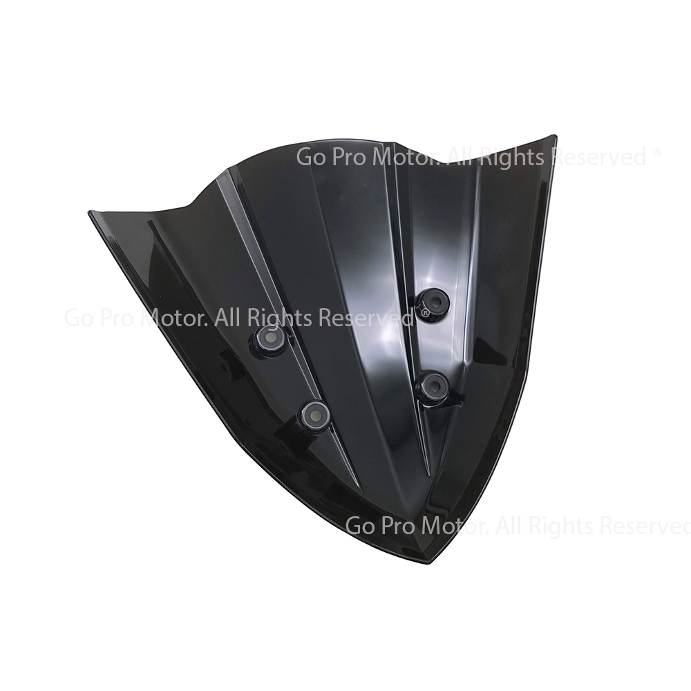 Ốp Mão Chắn Gió Winner X V1 - V2 VT60