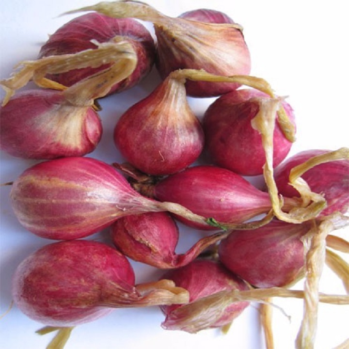 Củ Hành Tím Ninh Thuận 500gr