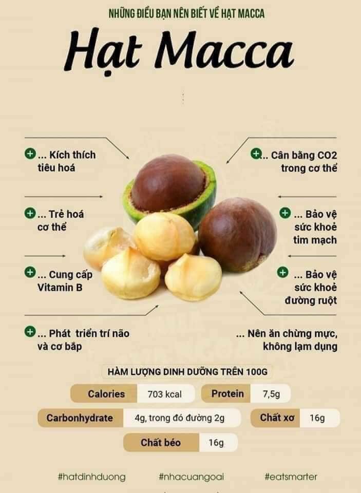 Macca daklak Hạt béo giòn gói 500gr