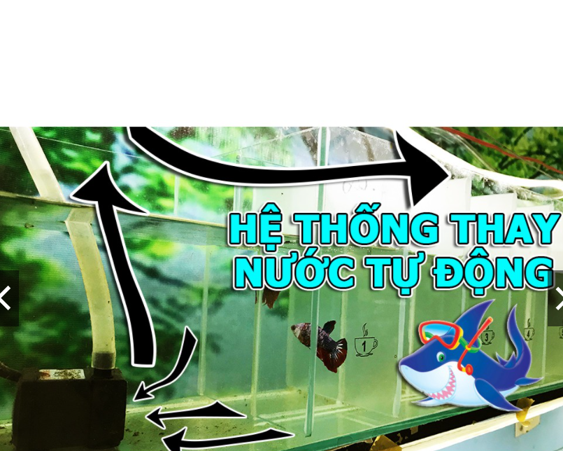 Máy Bơm Nước Mini VIPSUN - VS 701 🐳 Máy Lọc Nước Hồ Cá