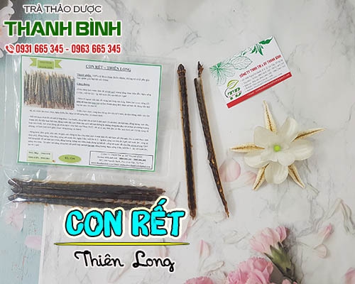 Con Rết Khô (Thiên Long) 1 Con - Thảo Dược Thanh Bình