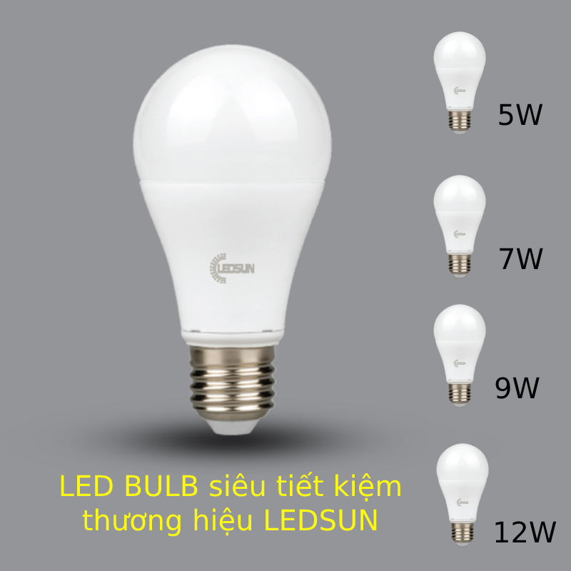 COMBO 10 bóng đèn led BULB 3000K, 6500K đui E270 5W