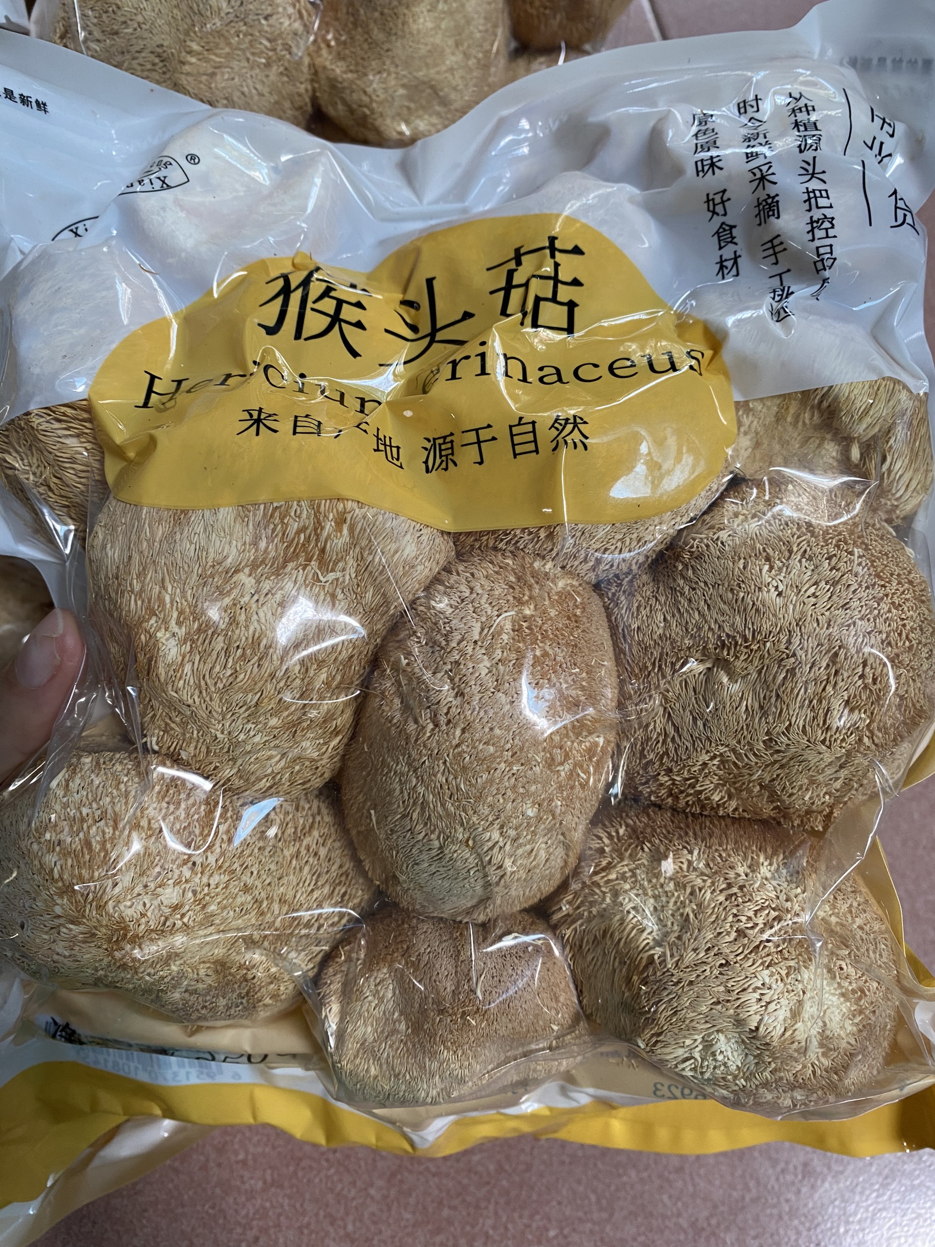 Nấm Hầu Thủ ( Nấm Đầu Khỉ )