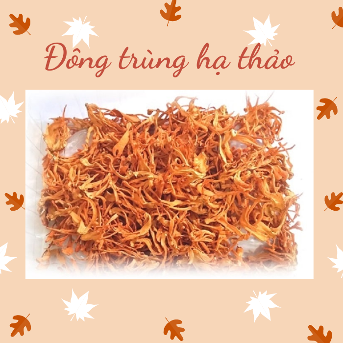 Đông trùng hạ thảo khô loại 1 100g chuyên dụng nấu chè dưỡng nhan