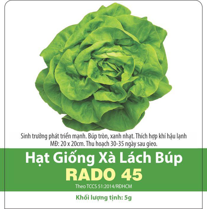 Hạt Giống Xà Lách Búp Nhiệt Đới (Xà Lách Đăm) 5gr