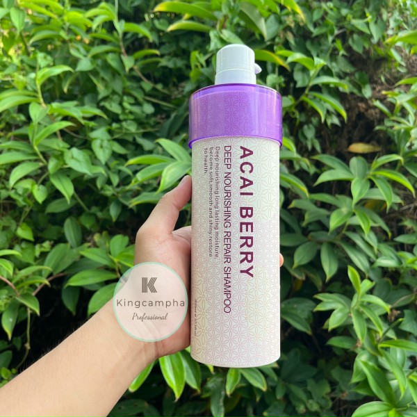 Dầu gội xả ACAI BERRY 950ml (pháp)