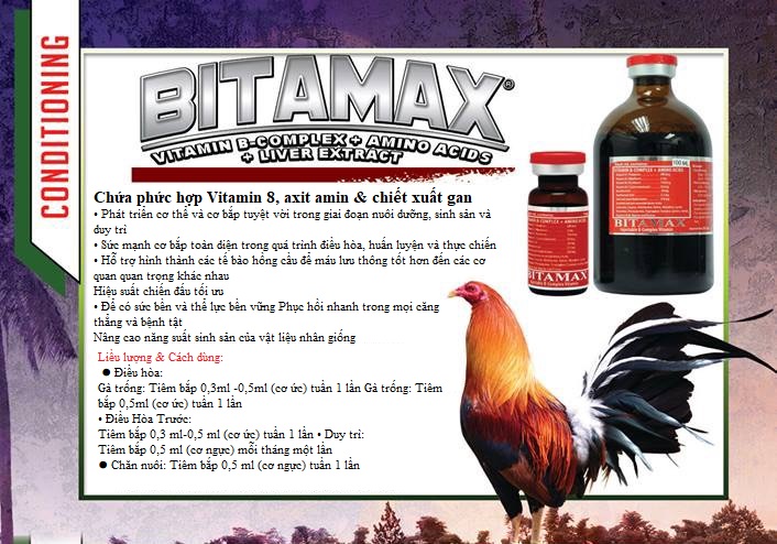 Thuốc Bổ B-Complex - Bitamax - Chai 10ml cho gà đá