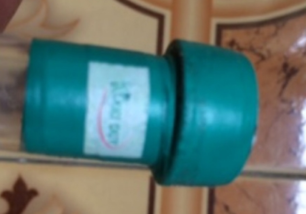 Keiki duy spray, duy xanh ( kích mầm, kích kie hoa lan)