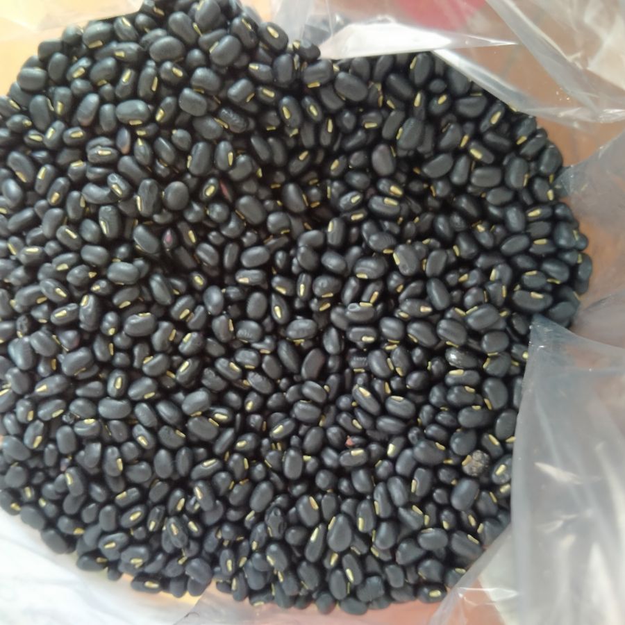 500g Đỗ/Đậu đen xanh lòng dân trồng
