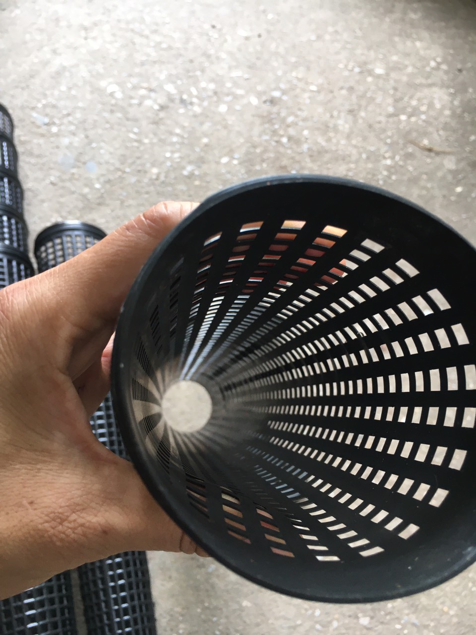 Combo 5 ống bẫy lươn dài 45cm