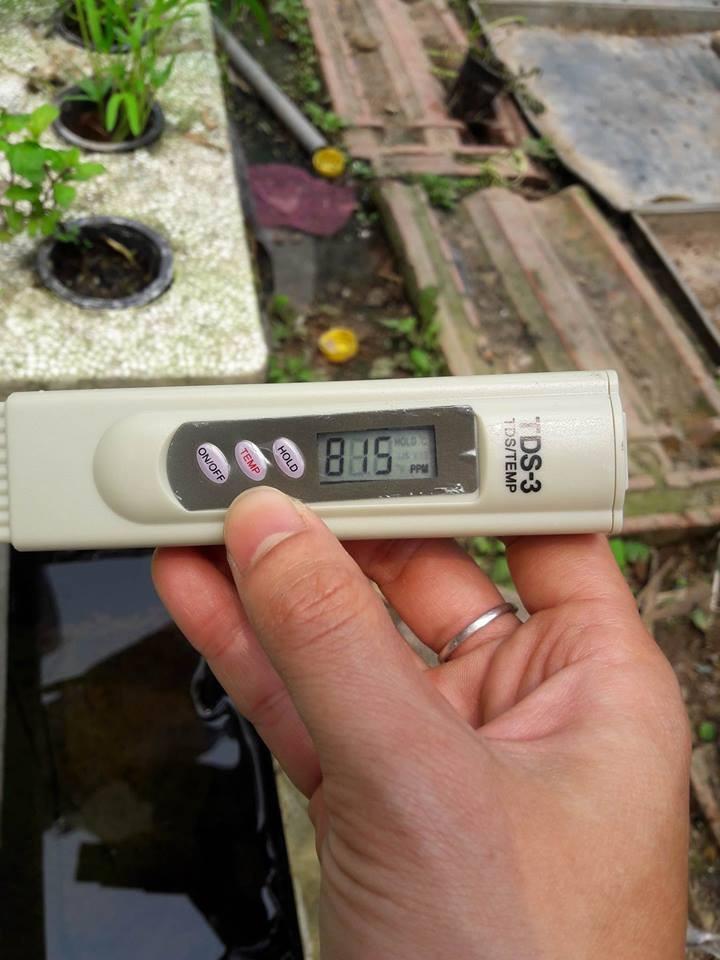 Bút thử nước sạch TDS kèm bao da