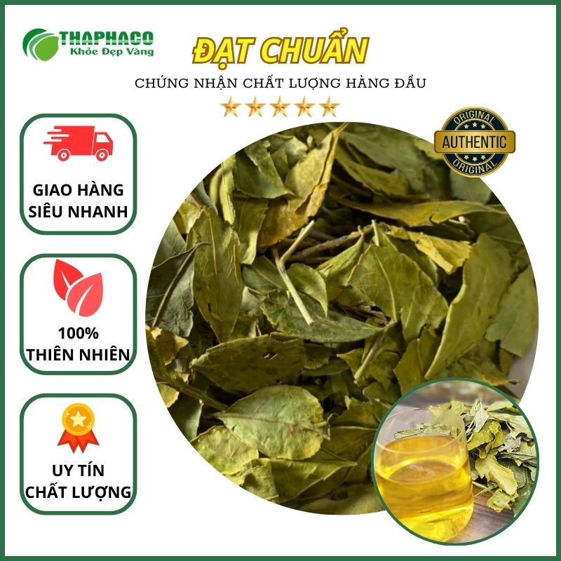 Chè Dung Vàng Sấy Khô Túi Lớn Loại 1kg - Hàng Sạch Xanh Chất Lượng Cao Giá Tốt - Thảo Dược THAPHACO