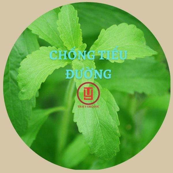Cỏ Ngọt Siêu Lá 200Gram ( Nguyên Lá Không Cành)