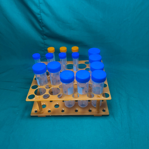 Giá Dựng Ống Nghiệm Nhựa, Gía Ông Falcon 15ml,10ml