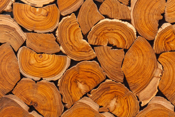 TeakWood Pure Oil