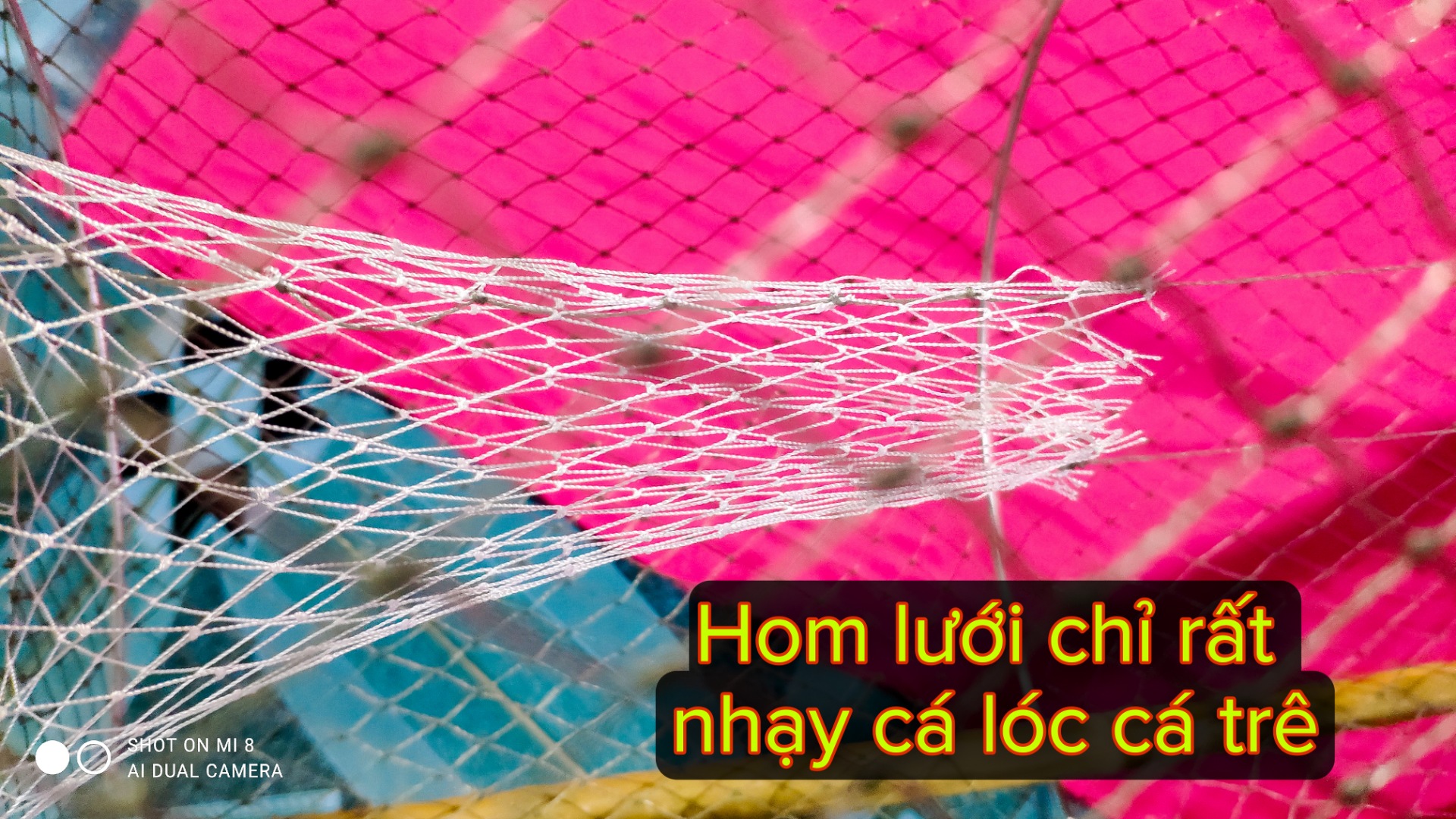 Lờ Cá Cải Tiến Vành Kẻm 30x52cm