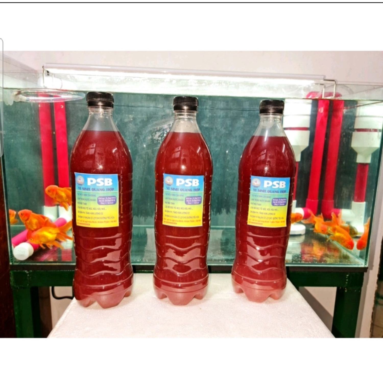 Vi sinh quang hợp PSB