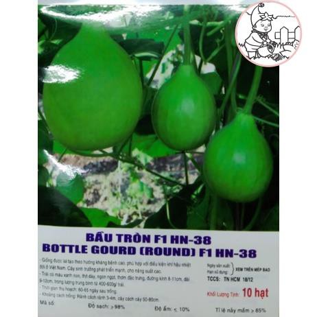 HẠT BẦU TRÒN F1 - GÓI 10 HẠT