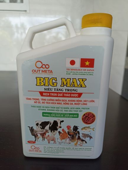 BIG MAX SIÊU TĂNG TRỌNG(gia súc, gia cầm)