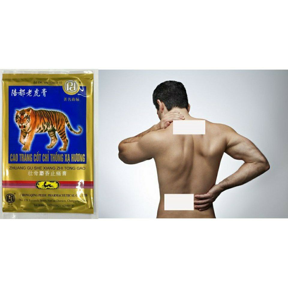 COMBO 5 GÓI CAO DÁN CON CỌP, GÓI 4 MIẾNG.
