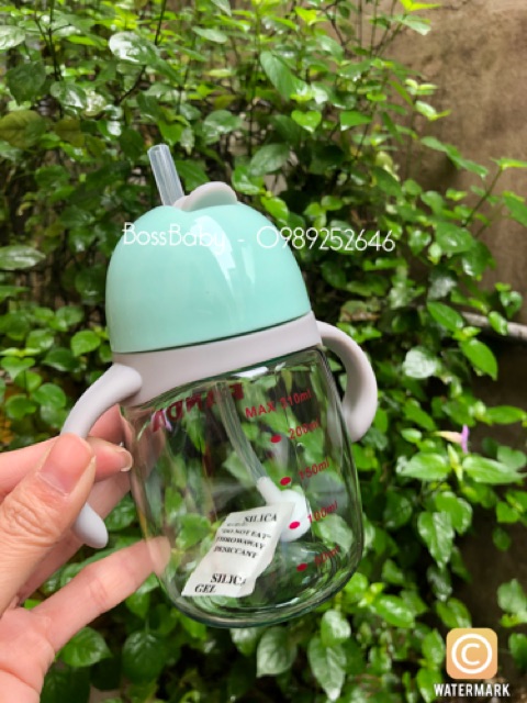 Bình Uống Nước Panda 310Ml