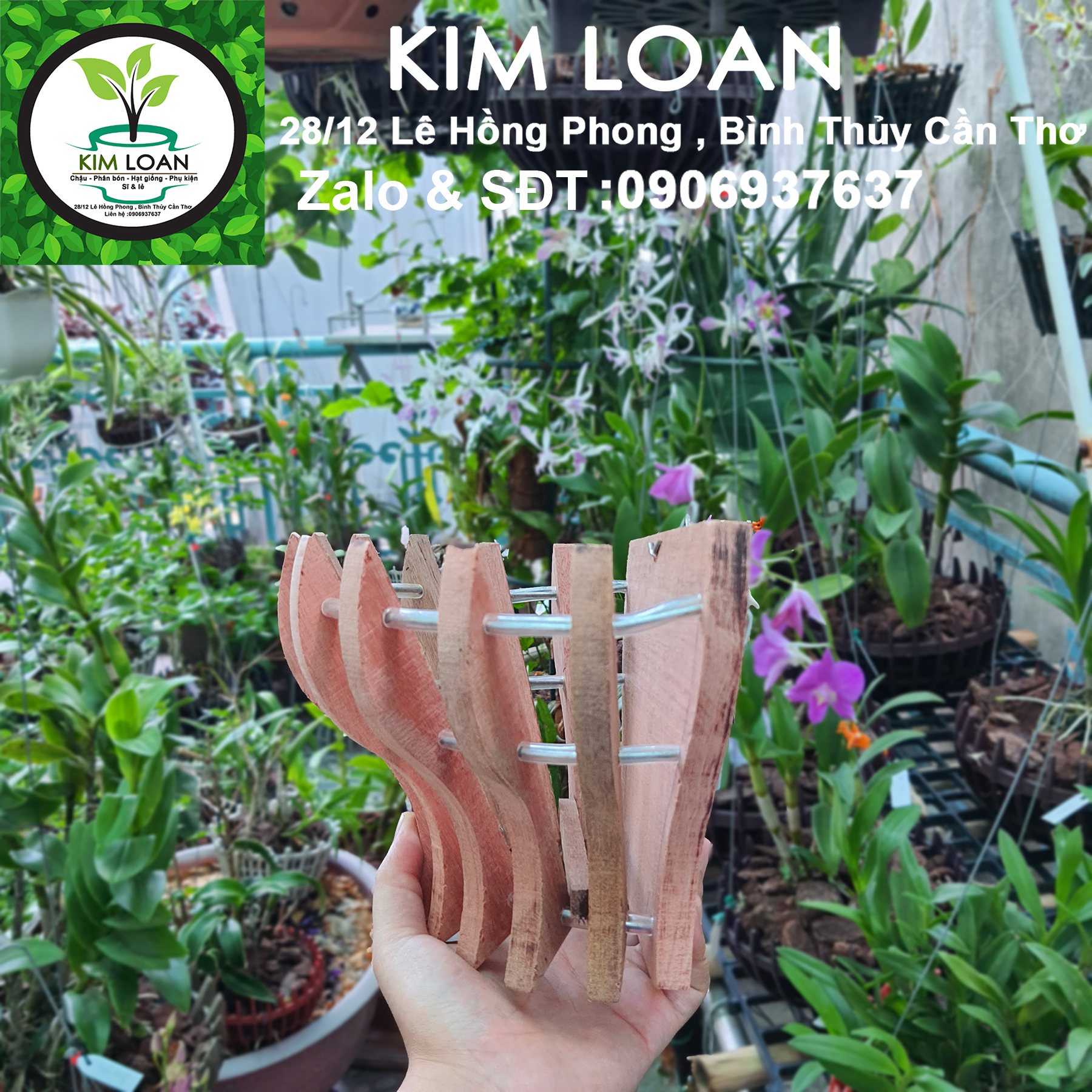 Chậu lan gỗ ốp tường