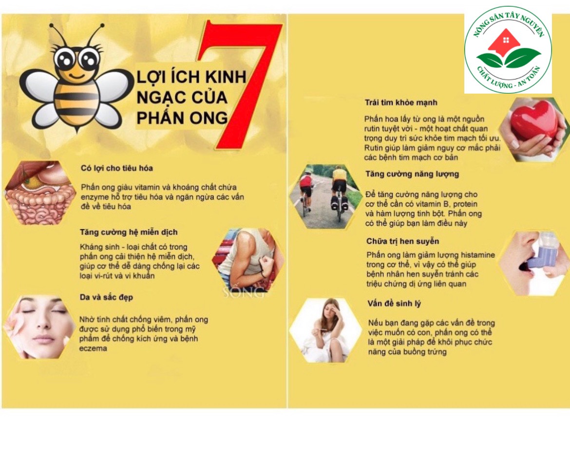 Phấn Hoa Mật Ong Nguyên Chất (Hoa Cỏ Kim) Hộp 500gr