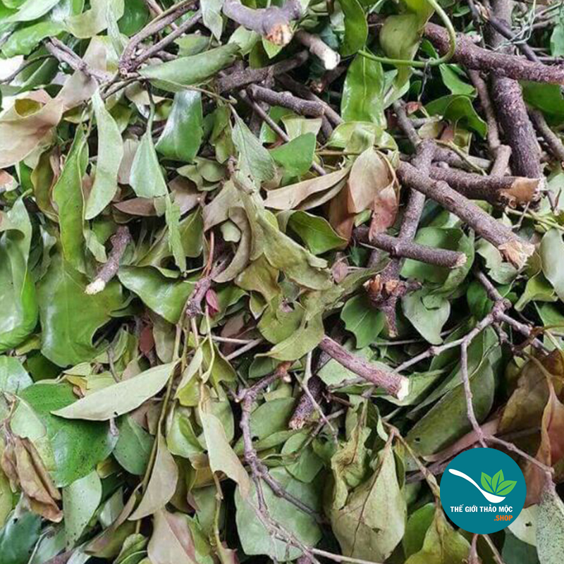 Cây tầm gửi gạo khô (gói 1kg) - TM238