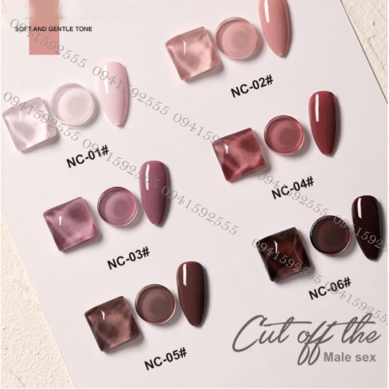 Sơn gel AS chọn lẻ 6 màu NC