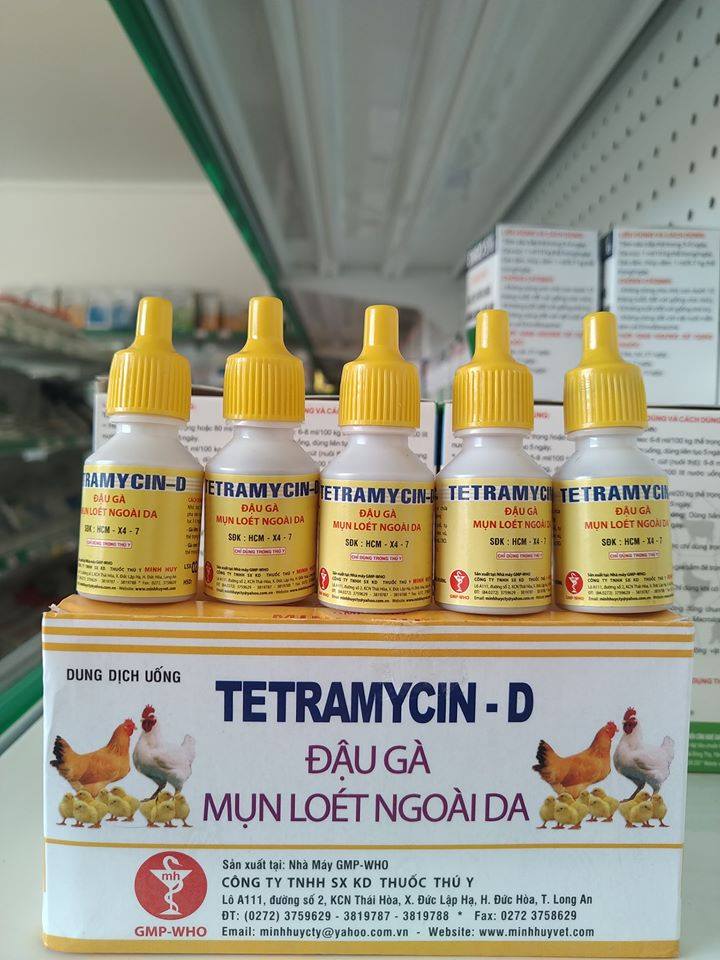 Thuốc đặc trị đậu gà đá 1 lọ 5ml tetramycin d
