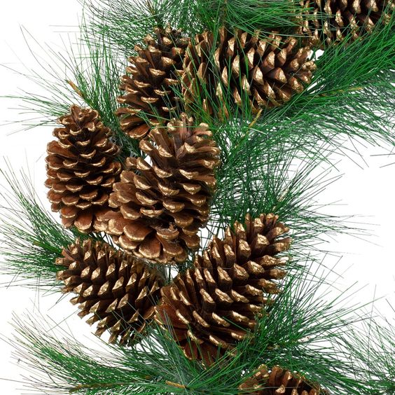hoa khô - combo 10 quả thông khô - giáng sinh - noel