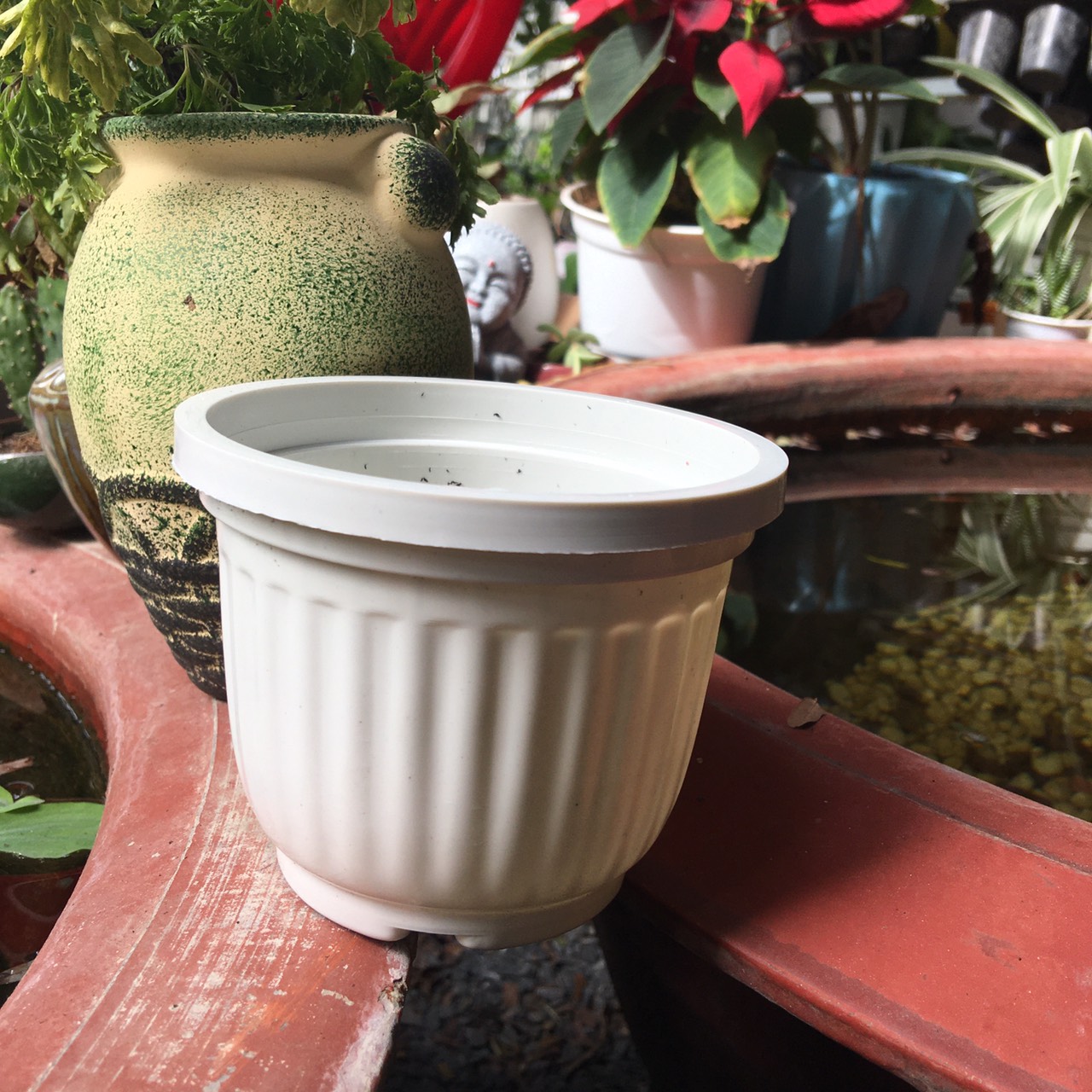 Chậu nhựa vân sọc sen đá nhỏ