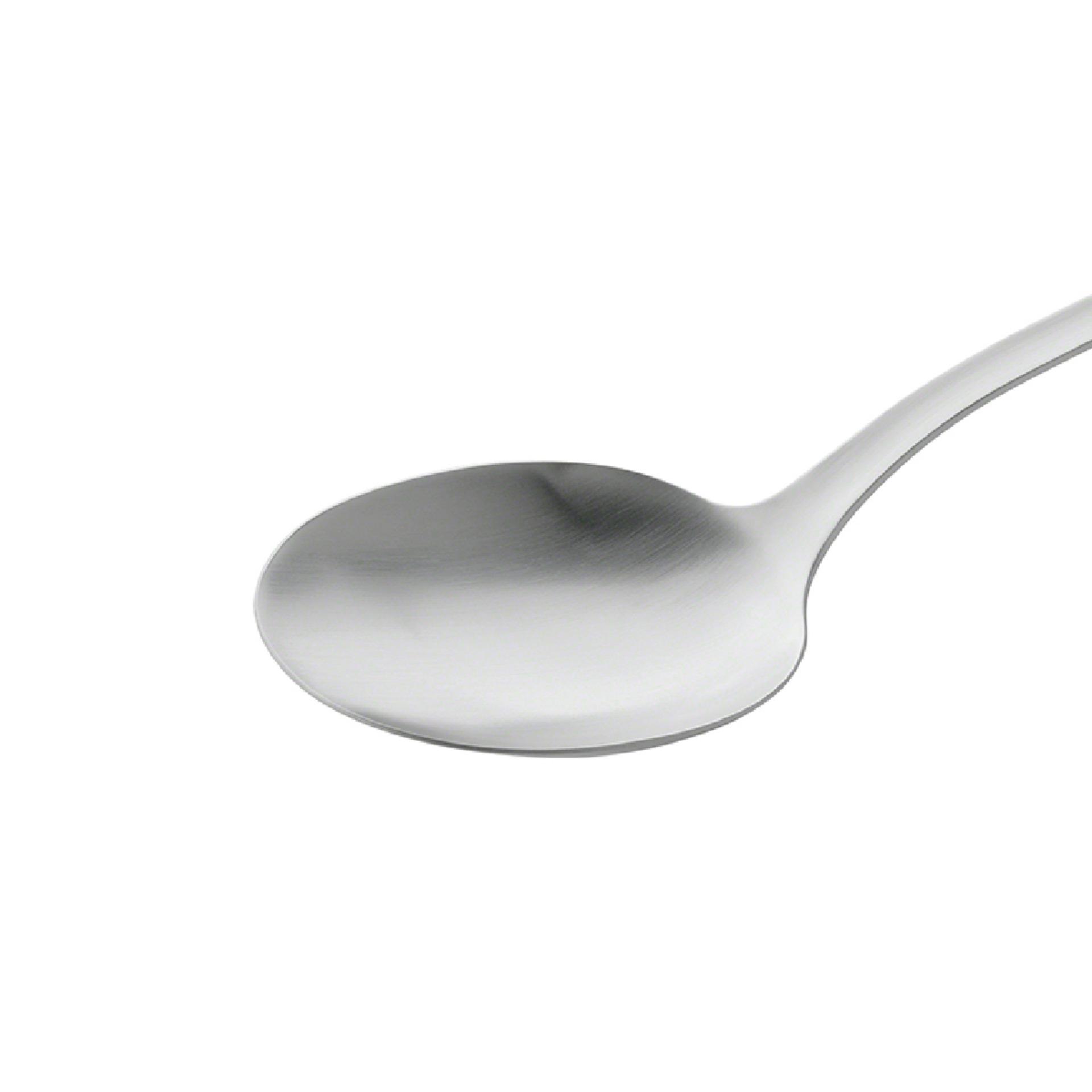 ZWILLING - Muỗng inox Twin Prof (lớn)