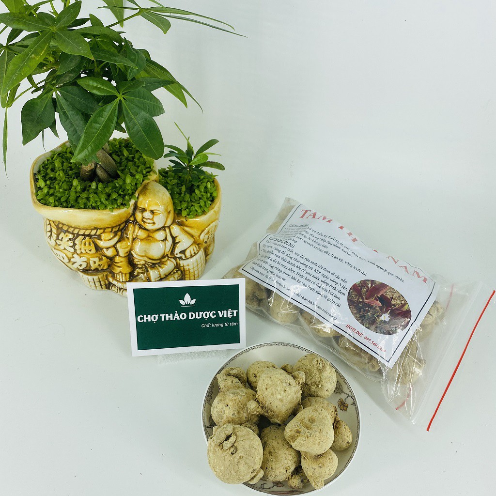 Tam thất nam khô 500g, củ to, hỗ trợ bổ máu, lưu thông khí huyết, ổn định hyết áp, giảm đau xương khớp
