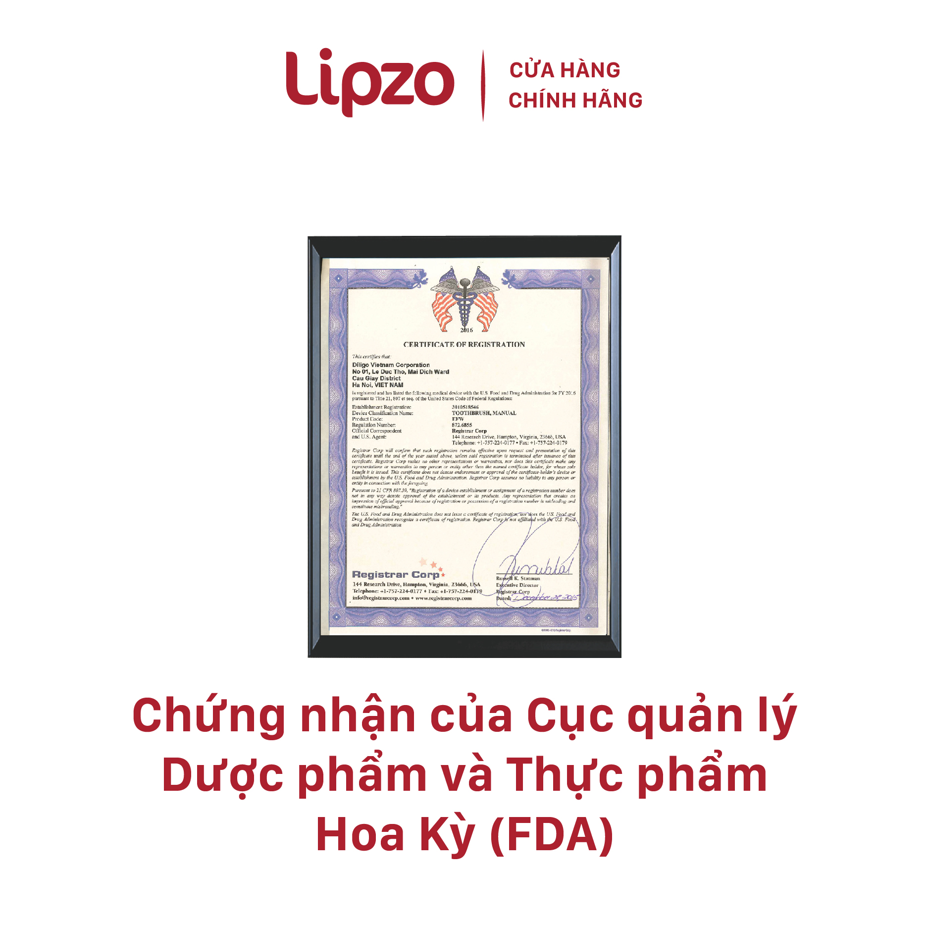 [2 TẶNG 1] Mua 02 bàn chải Lipzo Ruby Charcoal Tặng 01 bàn chải Lipzo Ruby Gold