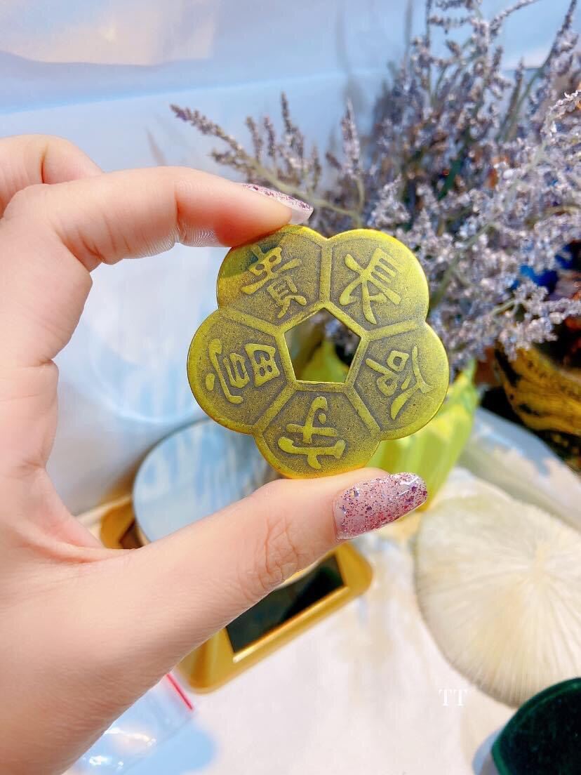 Hoa mai kIm tiền tài lộc