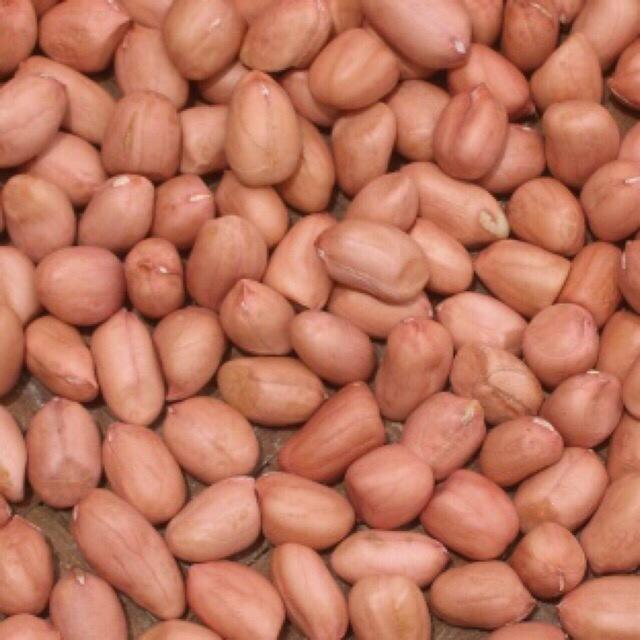 200gr Lạc đậu phộng Thái Bình