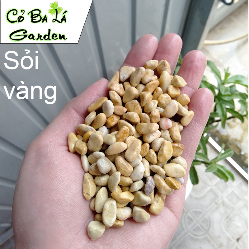 Sỏi Suối 500gr để trải mặt cây, hoặc lót bể cá