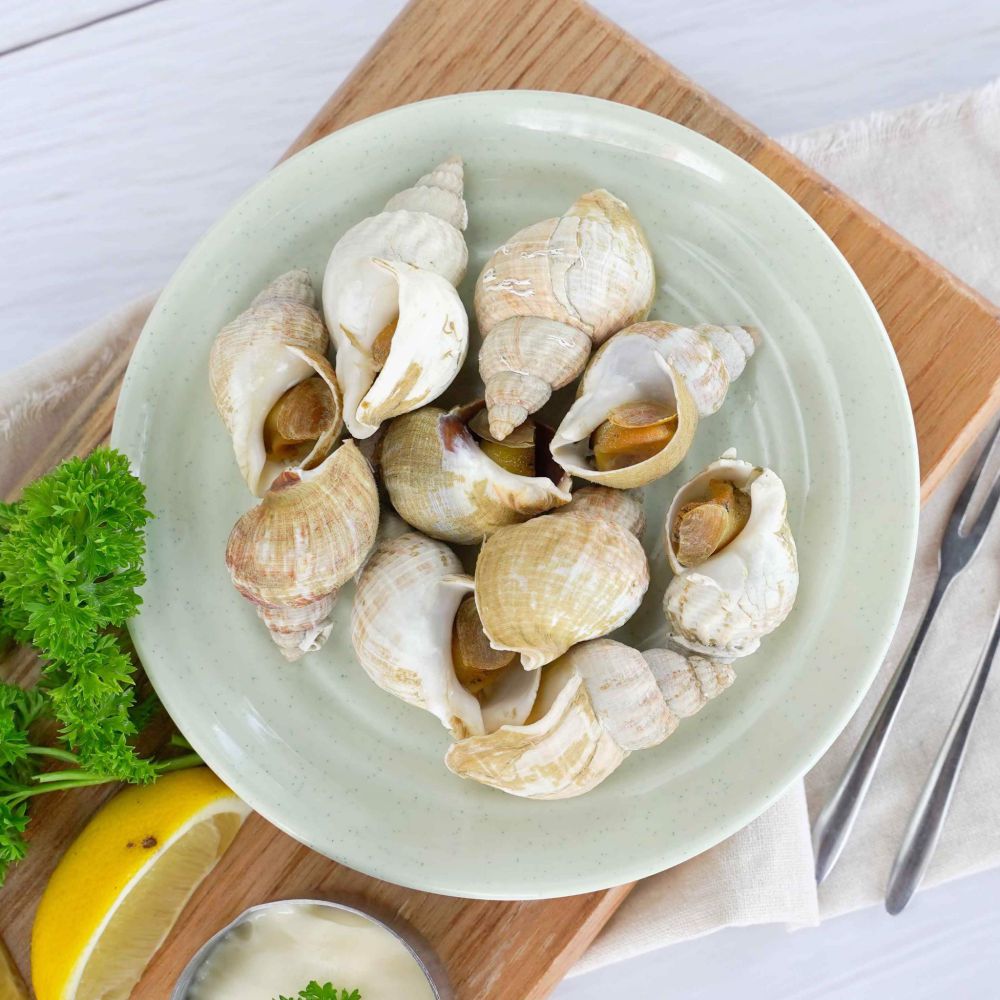 [Chỉ giao HCM] Ốc Bulot Pháp - 1KG