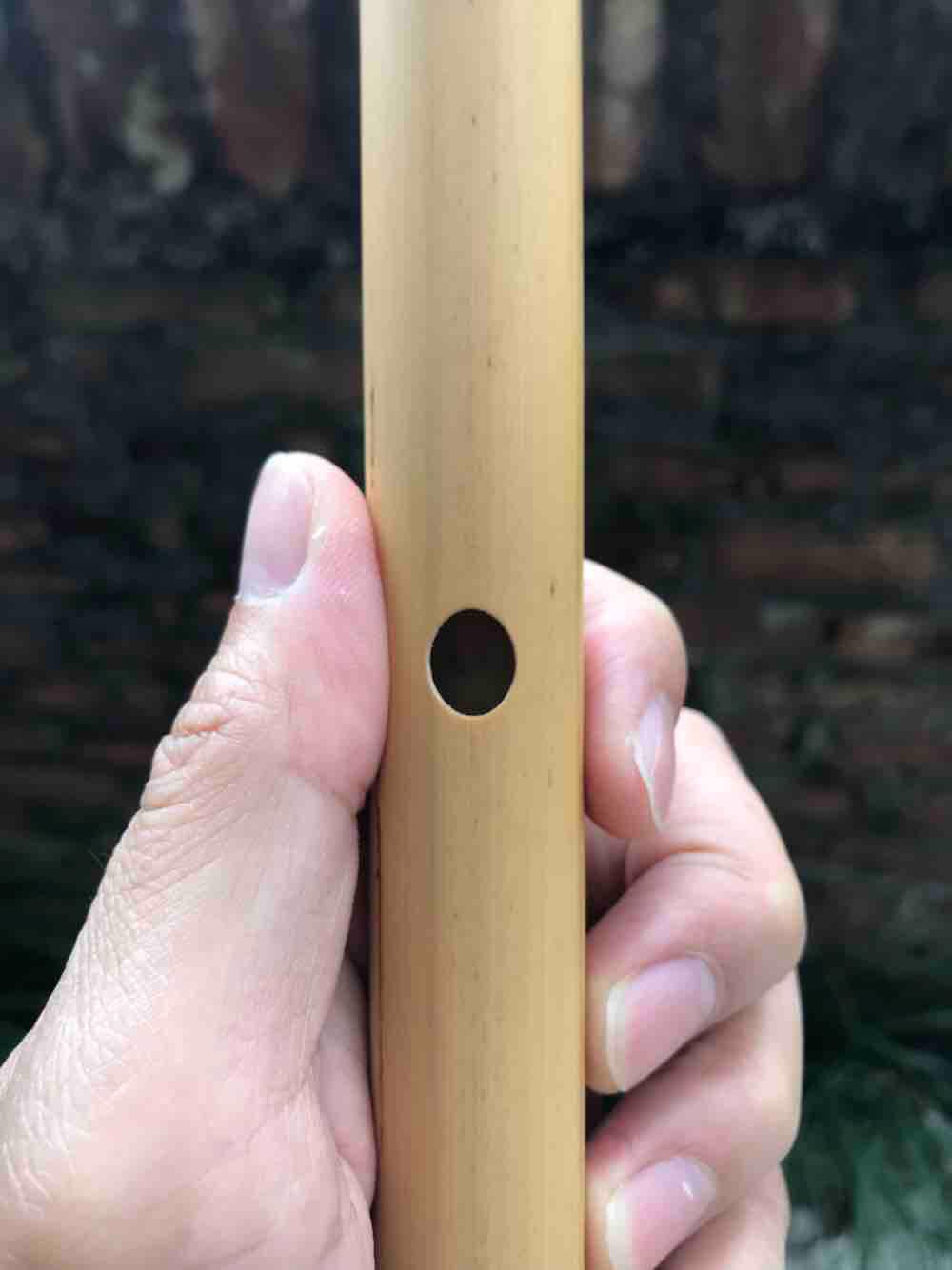 Sáo la trầm (A4)