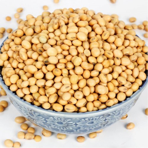 Đậu nành hữu cơ Sottolestelle 100gr tách lẻ