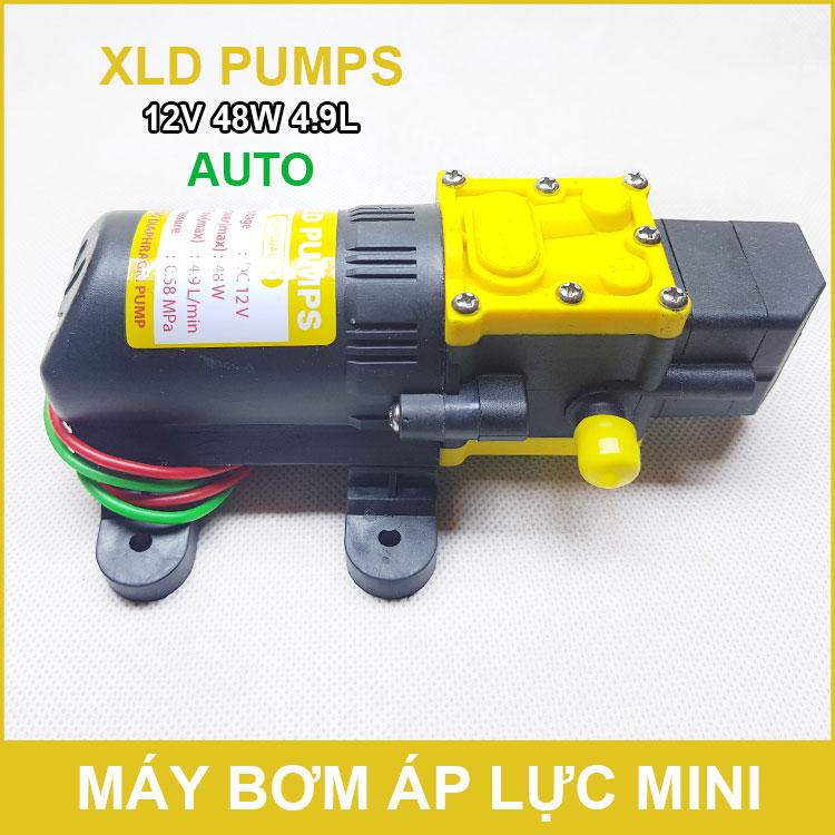 Máy bơm mini 12V 48W 4.9L
