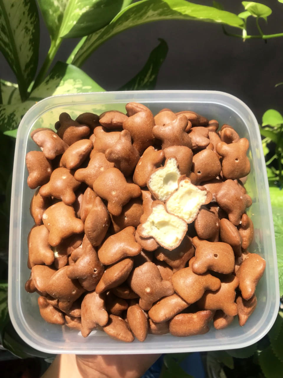 Bánh Gấu Kem Socola - Siêu Ngon 250G
